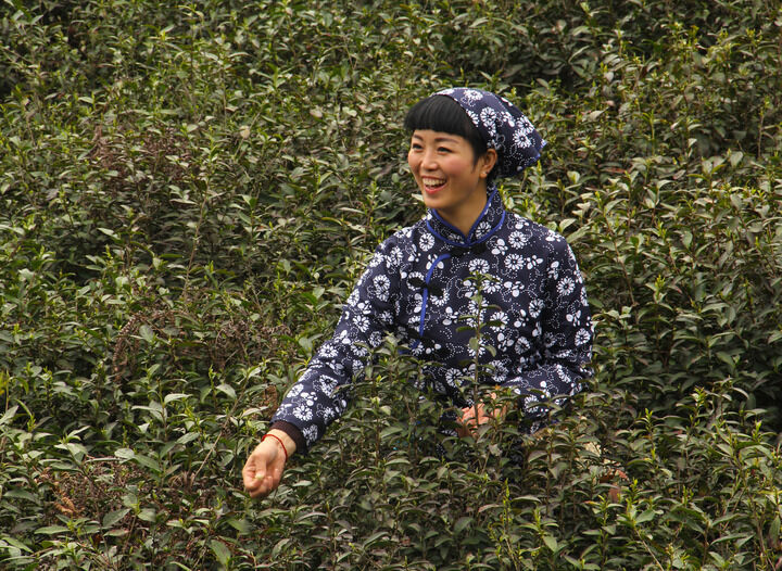嘴唇直播下载 马耳他之鹰